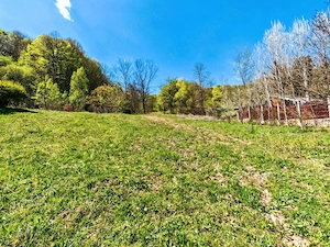 Teren INTRAVILAN loc. Sultanu_Visinesti, (1.20 h Bucuresti, 15 min Provita_Breaza, 30 min Campina) - imagine 7