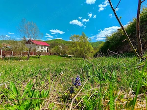 Teren INTRAVILAN loc. Sultanu_Visinesti, (1.20 h Bucuresti, 15 min Provita_Breaza, 30 min Campina) - imagine 8