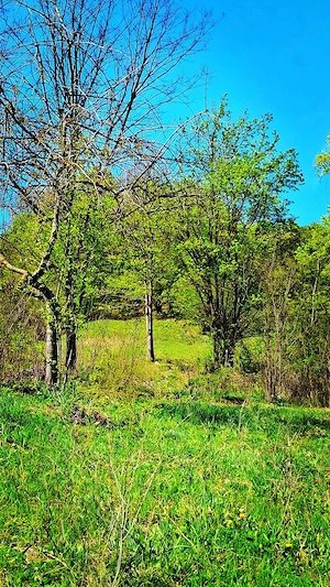 Teren INTRAVILAN loc. Sultanu_Visinesti, (1.20 h Bucuresti, 15 min Provita_Breaza, 30 min Campina) - imagine 6