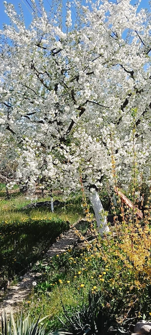 Casă de vânzare -locul unde "acasă" prinde contur 