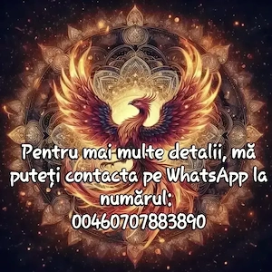 Teren de vânzare Bacău 