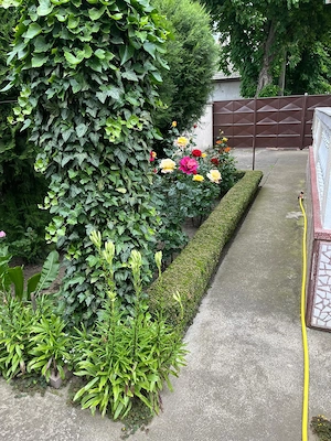 Proprietar: Casă solidă și spațioasă în zona centrală - oraș Sânnicolau Mare - imagine 6