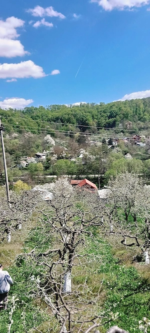 Casa cu teren de vânzare 