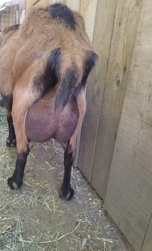 vand 2iedute.     ! - imagine 4