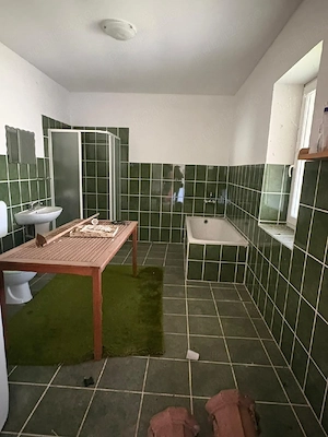 casa de vanzare in vallaj - imagine 2