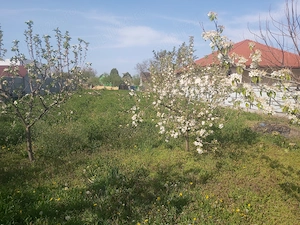 Teren intravilan, Loc de casa