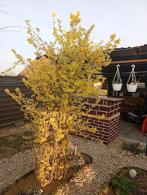 Casa 90mp complet utilata și mobilata 135 000 e - imagine 16