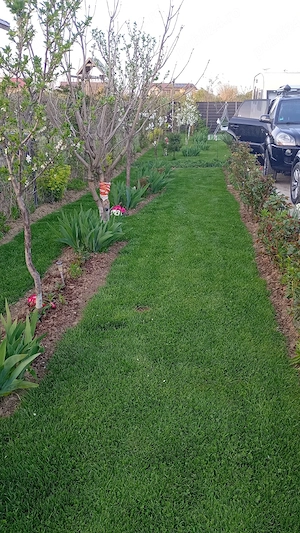 Casa 90mp complet utilata și mobilata 135 000 e - imagine 19