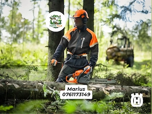 Curățare Teren și Curte, Defrișare, Tuns Iarbă, Gazon, Gard Viu, Toaletare Pomi, Erbicidat 