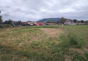 Teren intravilan de vanzare Comana de jos