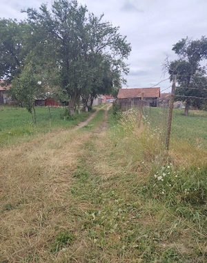Teren intravilan de vanzare Comana de jos - imagine 4