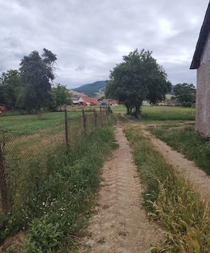 Teren intravilan de vanzare Comana de jos - imagine 3