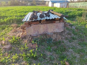 De vânzare teren intravilan   Fădimac, comuna Balinț - imagine 6