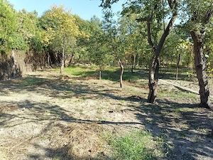 Casă cu teren 1070mp, zona Girocului - imagine 8
