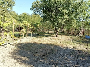 Casă cu teren 1070mp, zona Girocului - imagine 6