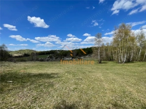 TEREN EXTRAVILAN | 103.000mp | BALANACA-GROSI | PASUNE | PASUNE IMPADURITA | BIHOR