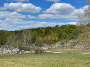TEREN EXTRAVILAN | 103.000mp | BALANACA-GROSI | PASUNE | PASUNE IMPADURITA | BIHOR - imagine 3