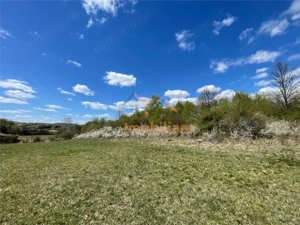 TEREN EXTRAVILAN | 103.000mp | BALANACA-GROSI | PASUNE | PASUNE IMPADURITA | BIHOR - imagine 2