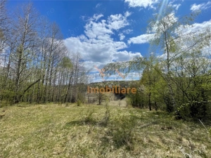 TEREN EXTRAVILAN | 103.000mp | BALANACA-GROSI | PASUNE | PASUNE IMPADURITA | BIHOR - imagine 7