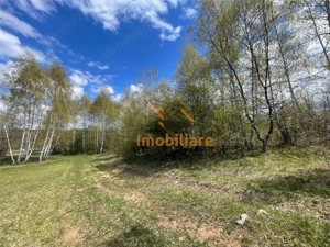 TEREN EXTRAVILAN | 103.000mp | BALANACA-GROSI | PASUNE | PASUNE IMPADURITA | BIHOR - imagine 8