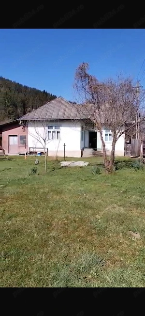 Teren cu casă de vânzare   Sat Telec, Comuna Bicazu Ardelean