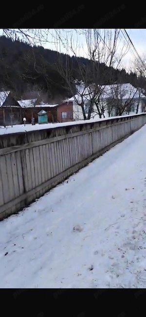 Teren cu casă de vânzare   Sat Telec, Comuna Bicazu Ardelean - imagine 9