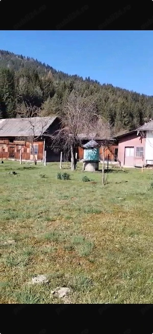 Teren cu casă de vânzare   Sat Telec, Comuna Bicazu Ardelean - imagine 3