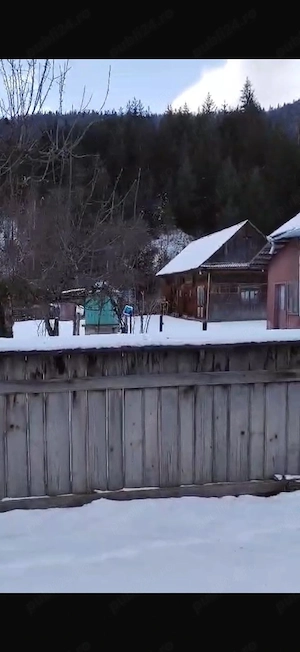 Teren cu casă de vânzare   Sat Telec, Comuna Bicazu Ardelean - imagine 6