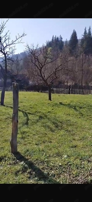 Teren cu casă de vânzare   Sat Telec, Comuna Bicazu Ardelean - imagine 4