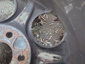 Set jenti aliaj OE Volvo  - imagine 5