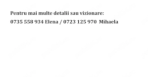 Teren cu casă de vânzare   Sat Telec, Comuna Bicazu Ardelean - imagine 10