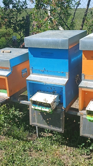 polen crud poliflor - imagine 2