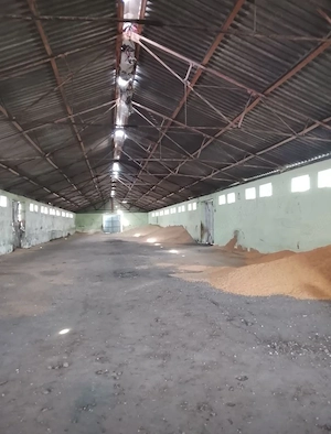 Magazie de cereale și bucătarie furajeră, pe un teren intravilan de 16575 mp, în Sintea Mare - imagine 4
