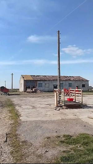 Magazie de cereale și bucătarie furajeră, pe un teren intravilan de 16575 mp, în Sintea Mare - imagine 3