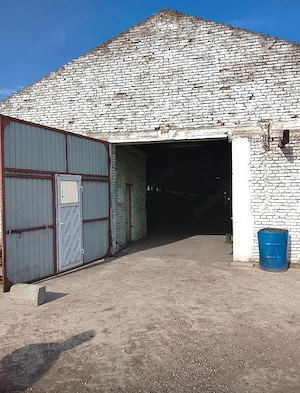 Magazie de cereale și bucătarie furajeră, pe un teren intravilan de 16575 mp, în Sintea Mare - imagine 5