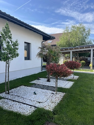 Servicii peisagistice