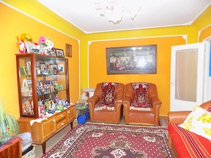 Apartament 2 Camere Radu Negru - imagine 5