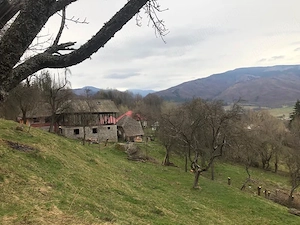 Teren intravilan deosebit   Nucșoara, sat Slatina   10.000 mp   liniște, natură și acces spre Vârful