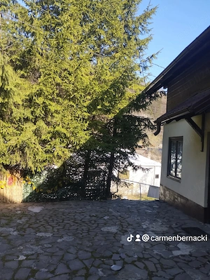 Ideal pentru investiție !!! De vanzare sau schimb - imagine 6
