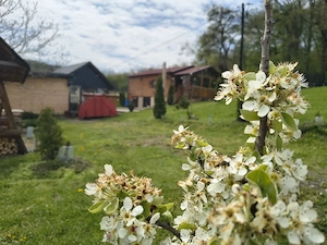  Cabana la Coo.Uilac Harghita.Locatie integrala ptr inchiriere - imagine 4