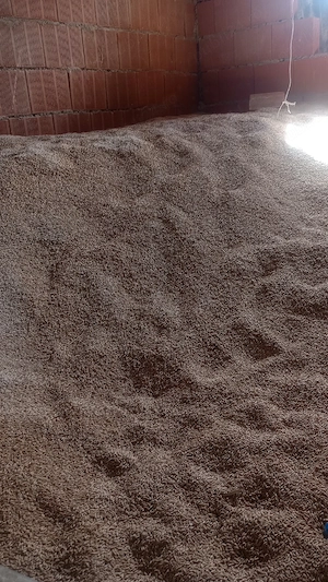 vând triticale 