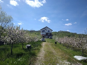 vilă superbă, de vanzare, într-o zona pitorească 