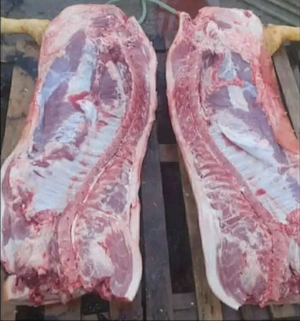 porci carne 100 kg + - - imagine 3