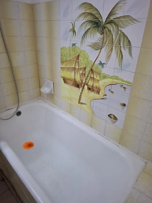 Închiriez garsonieră in Cluj-Napoca - imagine 4