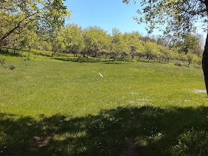 Teren de vânzare  - imagine 5