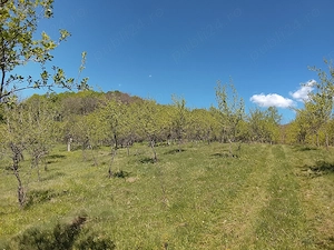 Teren de vânzare  - imagine 4