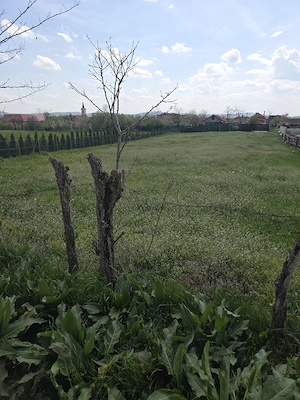 Teren Intravilan 1.424 mp   Hădăreni (Chețani) - imagine 4