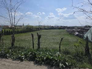 Teren Intravilan 1.424 mp   Hădăreni (Chețani)