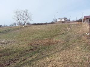 Teren Valea Crișului 