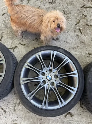 Jante Style 135M BMW Originale din Austria cu gume Continental - imagine 3